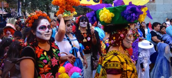 22530659124_ca072b2d8a_o