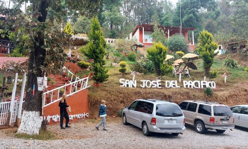San Jose del pacifico 2024-07-17 at 9.41.39 PM